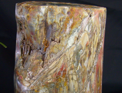 아프리카 규화목(나무화석) 원석