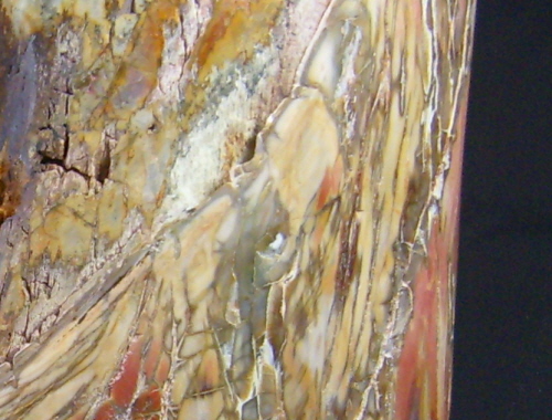 아프리카 규화목(나무화석) 원석