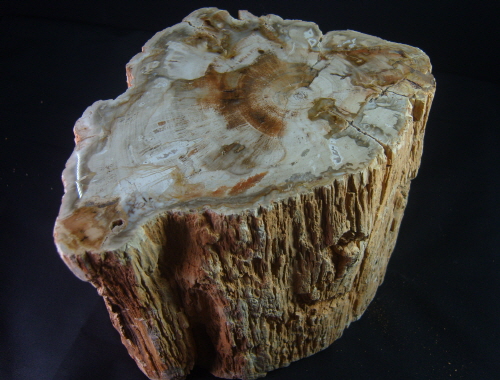 나무 화석 수정 순수자연석입석형