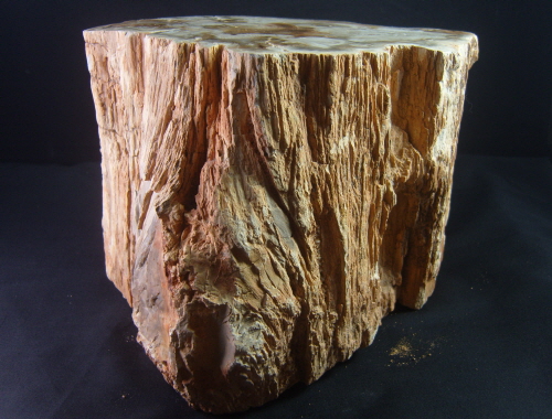 나무 화석 수정 순수자연석입석형