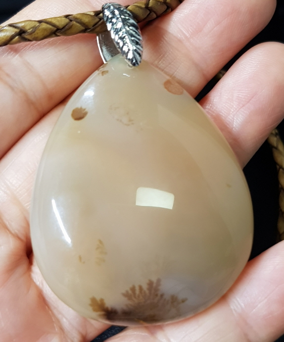 트리 아게이트(TREE AGATE)