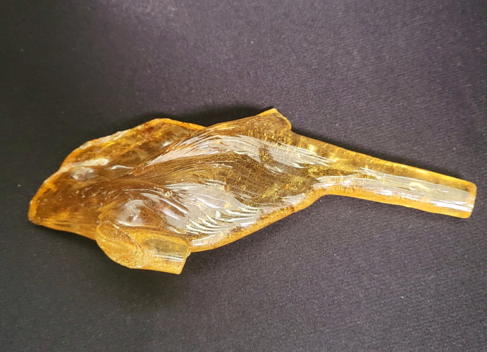 아프리카 호박 화석