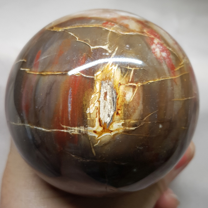 아프리카 나무화석 (규화목)수정 78mm구