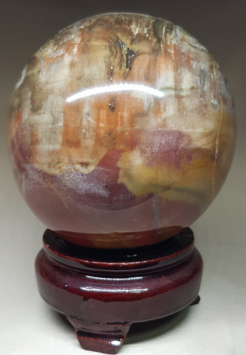 나무 화석(규화목)수정 구 92mm