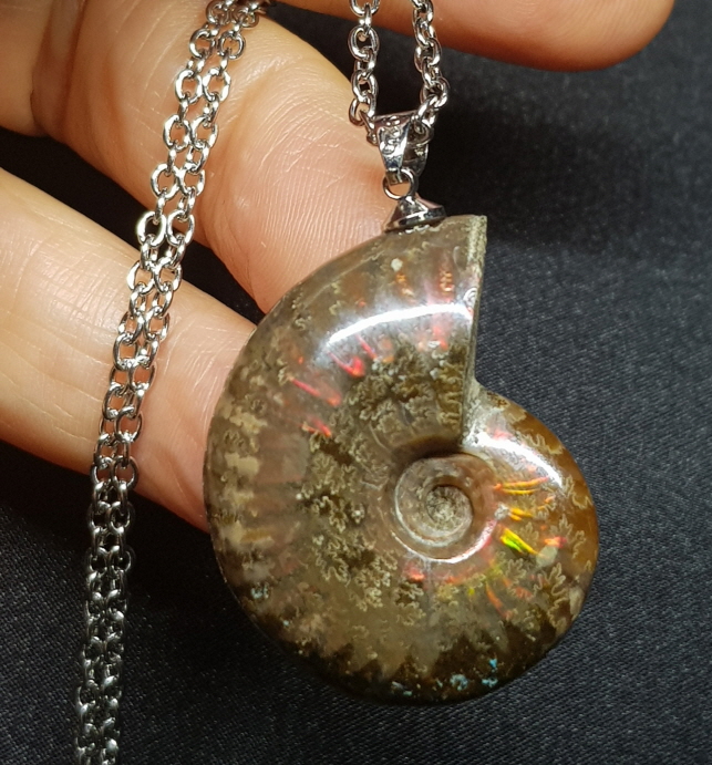 암몰라이트 화석펜던트