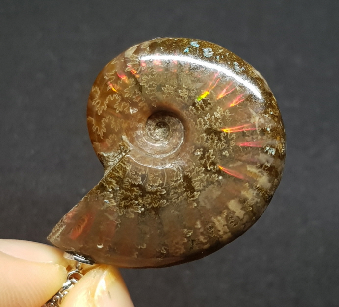 암몰라이트 화석펜던트