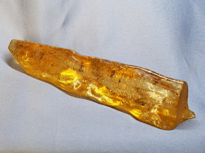 아프리카 호박화석