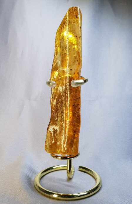 아프리카 호박화석