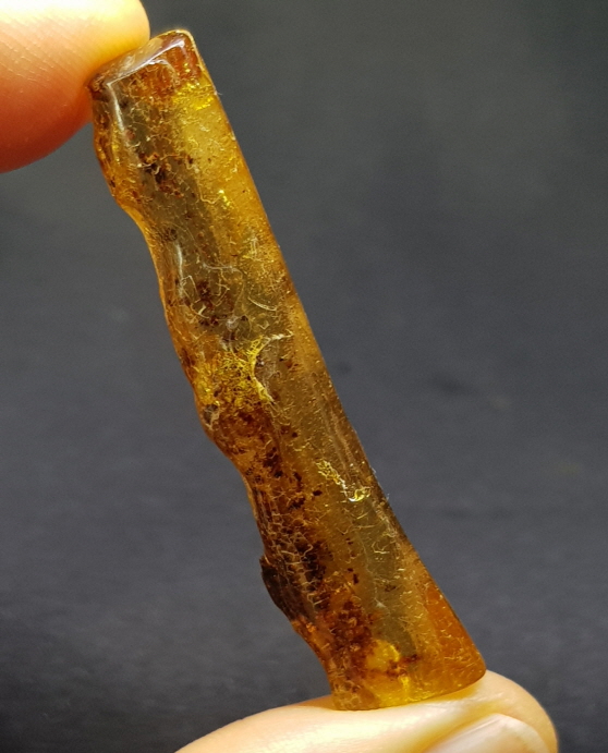 아프리카 호박 화석