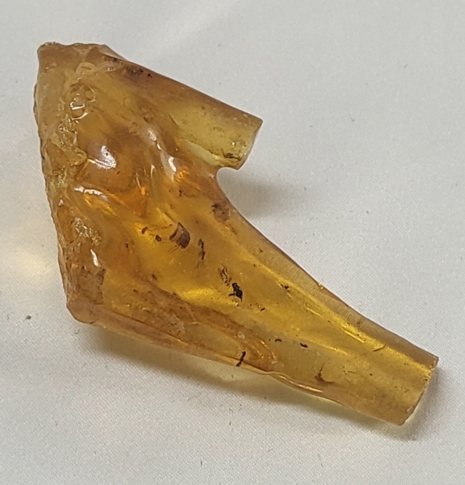 아프리카 호박(COPAL)화석