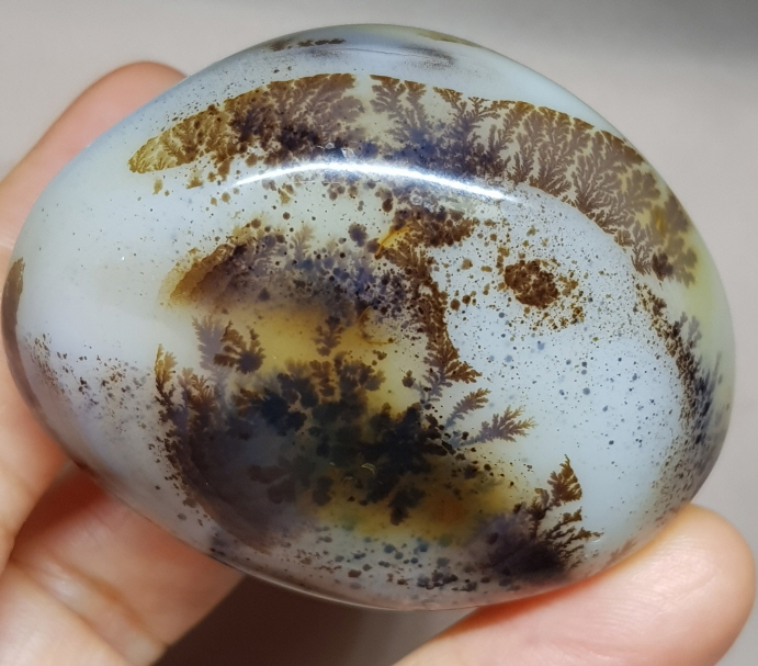 덴드리틱 아게이트(바다 속 풍경)