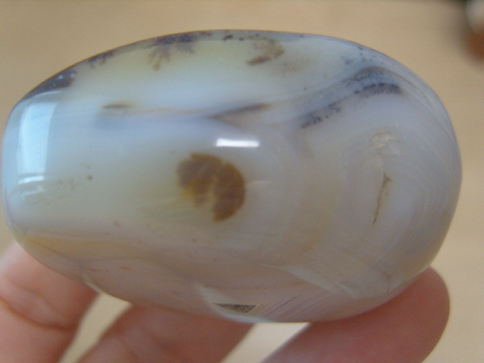 덴드리틱 아게이트(바다 속 풍경)