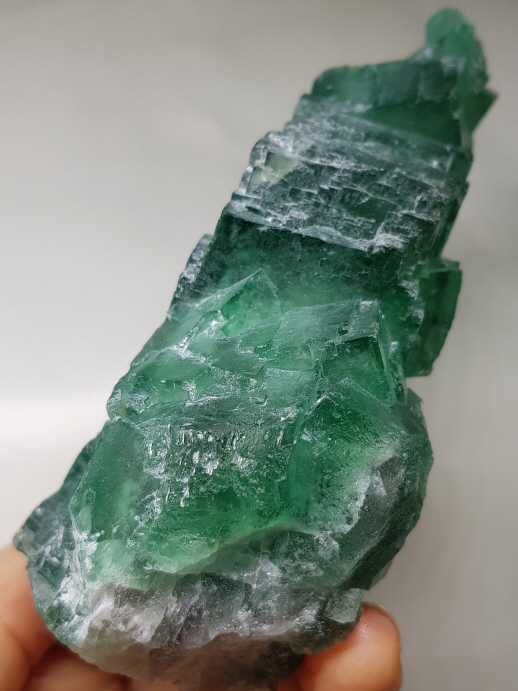 그린 플로라이트 클러스터