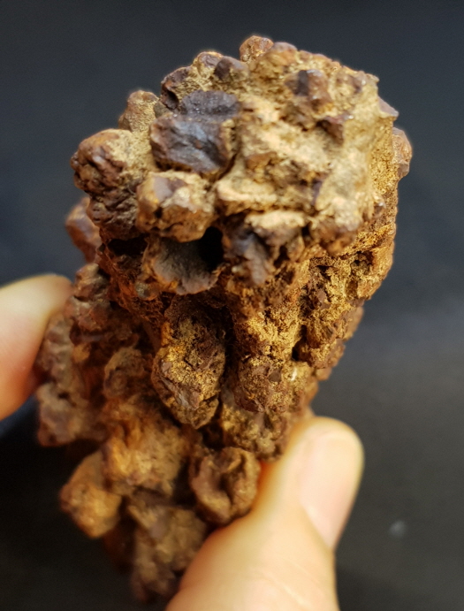 코프롤라이트(똥화석)