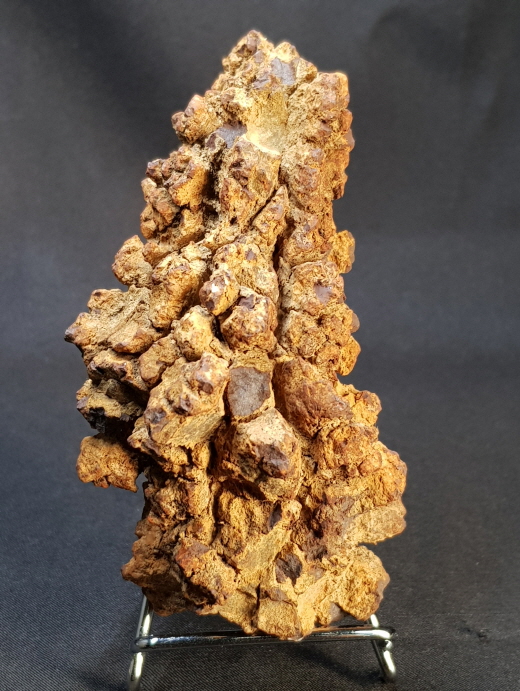 코프롤라이트(똥화석)