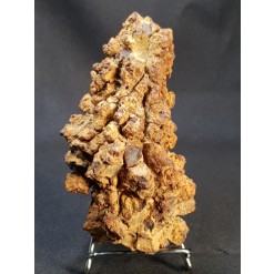 코프롤라이트(똥화석)